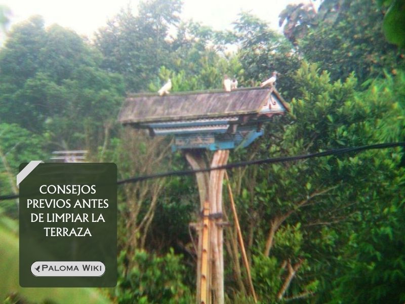 Consejos previos antes de limpiar la terraza