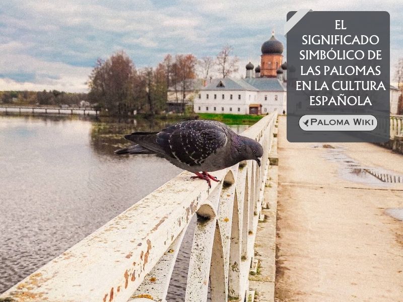 El significado simbólico de las palomas en la cultura española