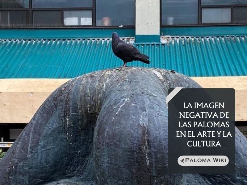 La imagen negativa de las palomas en el arte y la cultura