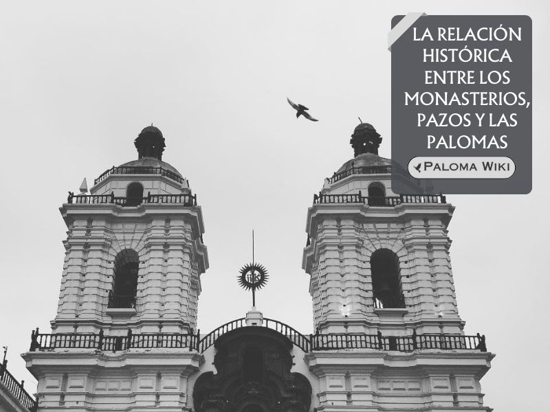 La relación histórica entre los monasterios, pazos y las palomas