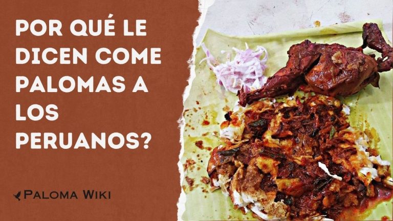 Por Qué Le Dicen Come Palomas a Los Peruanos?